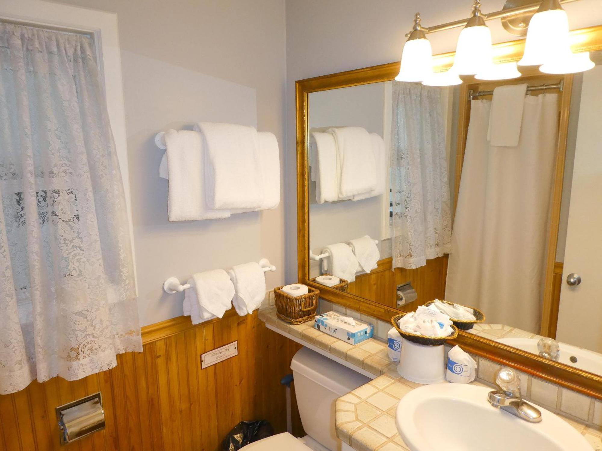 Fireplace Hotel 3*